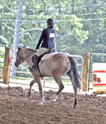 Picture from Catoosa County Saddle Club show
