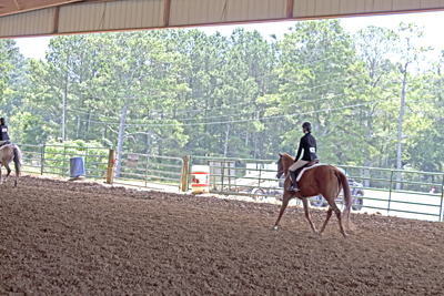 Picture from Catoosa County Saddle Club show