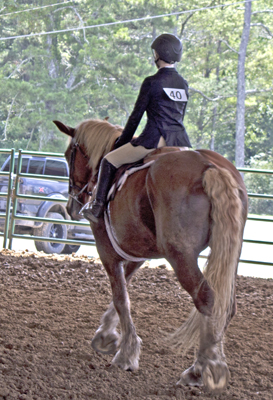Picture from Catoosa County Saddle Club show