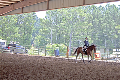Picture from Catoosa County Saddle Club show