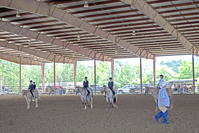 Picture from Catoosa County Saddle Club show