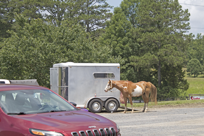Picture from Catoosa County Saddle Club show