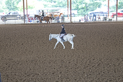 Picture from Catoosa County Saddle Club show