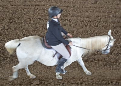 Picture from Catoosa County Saddle Club show