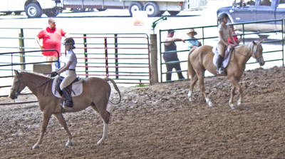 Picture from Catoosa County Saddle Club show