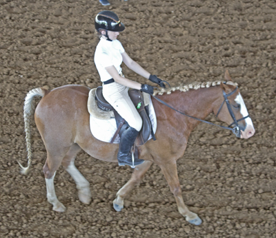 Picture from Catoosa County Saddle Club show