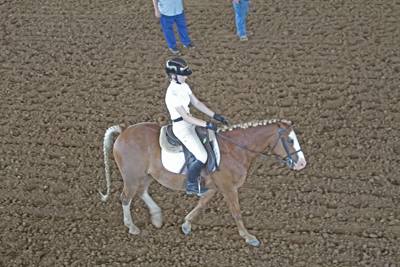 Picture from Catoosa County Saddle Club show