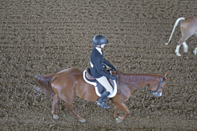 Picture from Catoosa County Saddle Club show
