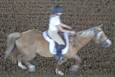 Picture from Catoosa County Saddle Club show