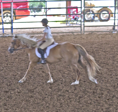 Picture from Catoosa County Saddle Club show