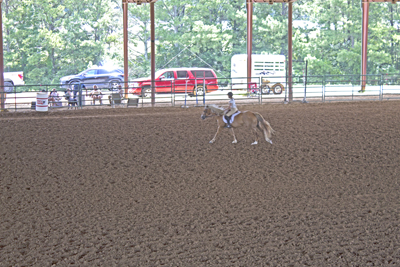 Picture from Catoosa County Saddle Club show