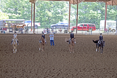 Picture from Catoosa County Saddle Club show