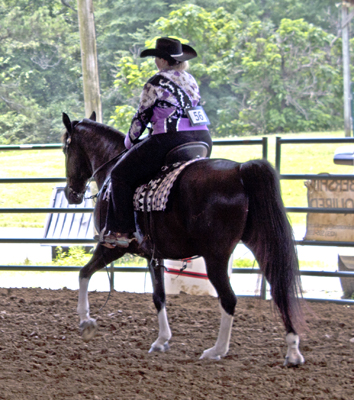 Picture from Catoosa County Saddle Club show