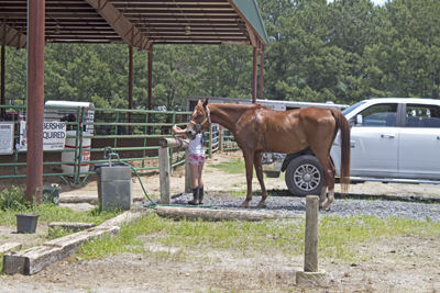 Picture from Catoosa County Saddle Club show
