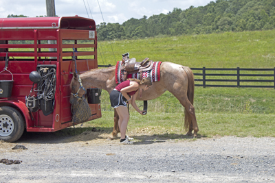 Picture from Catoosa County Saddle Club show