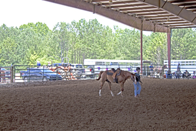 Picture from Catoosa County Saddle Club show