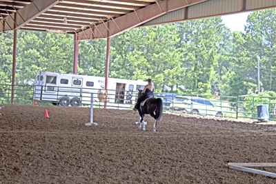 Picture from Catoosa County Saddle Club show