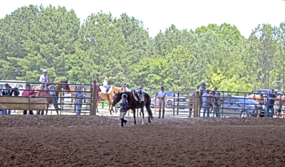 Picture from Catoosa County Saddle Club show
