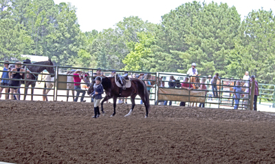 Picture from Catoosa County Saddle Club show