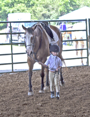 Picture from Catoosa County Saddle Club show