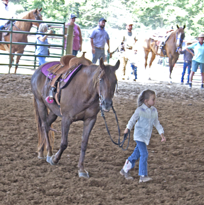 Picture from Catoosa County Saddle Club show
