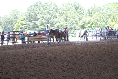 Picture from Catoosa County Saddle Club show