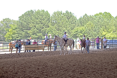 Picture from Catoosa County Saddle Club show