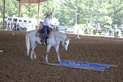 Picture from Catoosa County Saddle Club show