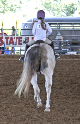 Picture from Catoosa County Saddle Club show