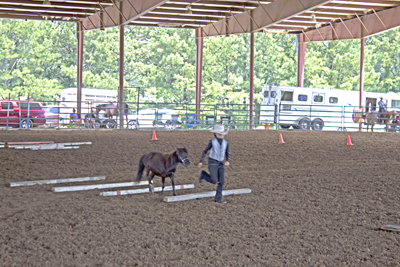 Picture from Catoosa County Saddle Club show