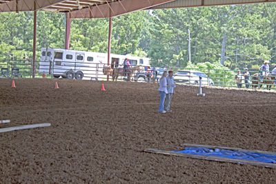 Picture from Catoosa County Saddle Club show