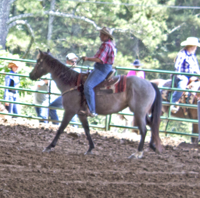 Picture from Catoosa County Saddle Club show