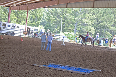 Picture from Catoosa County Saddle Club show