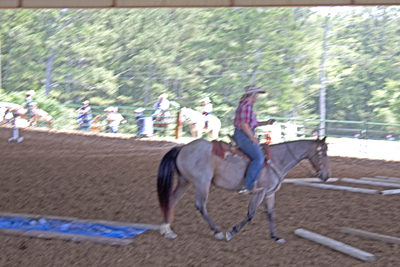 Picture from Catoosa County Saddle Club show