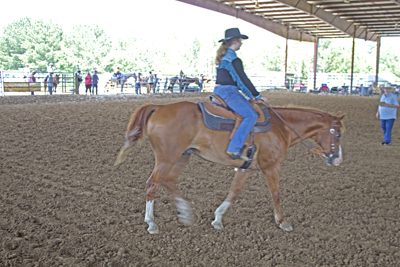 Picture from Catoosa County Saddle Club show