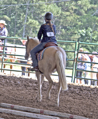 Picture from Catoosa County Saddle Club show