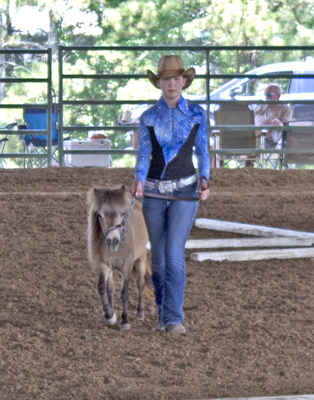 Picture from Catoosa County Saddle Club show