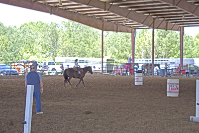 Picture from Catoosa County Saddle Club show