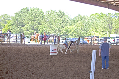 Picture from Catoosa County Saddle Club show