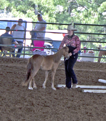 Picture from Catoosa County Saddle Club show