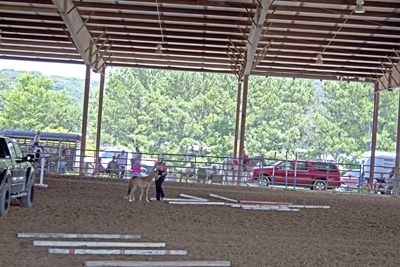 Picture from Catoosa County Saddle Club show