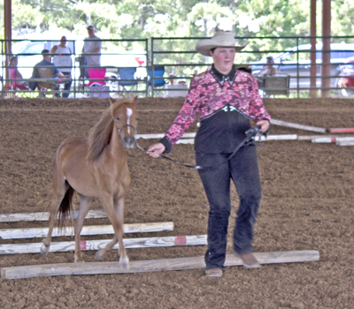 Picture from Catoosa County Saddle Club show