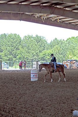 Picture from Catoosa County Saddle Club show