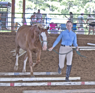 Picture from Catoosa County Saddle Club show