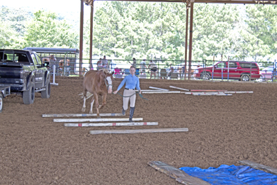 Picture from Catoosa County Saddle Club show
