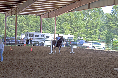 Picture from Catoosa County Saddle Club show