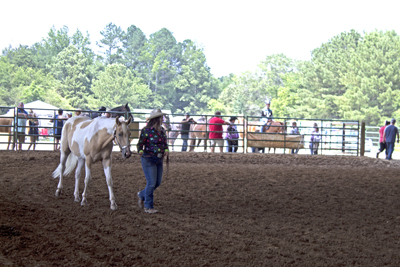 Picture from Catoosa County Saddle Club show