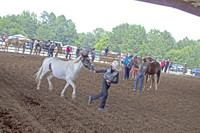 Picture from Catoosa County Saddle Club show