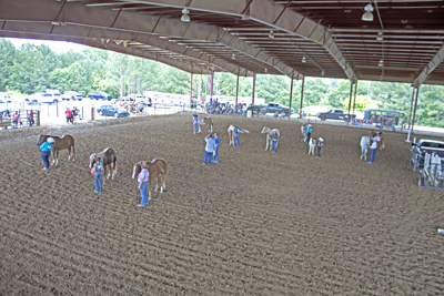 Picture from Catoosa County Saddle Club show