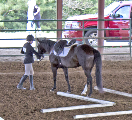 Picture from Catoosa County Saddle Club show